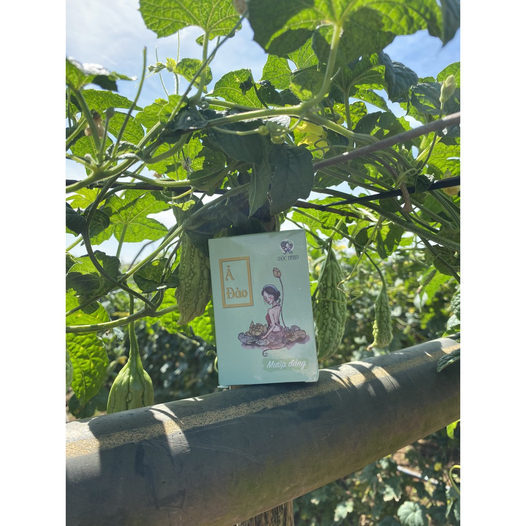 (Ưu Đãi) Xà Bông Thảo Dược Hữu Cơ Mướp Đắng Tràm Trà Thiên Nhiên, Soap Organic Làm Dịu Dị Ứng, Mát Da, Ngừa Mụn | BigBuy360 - bigbuy360.vn