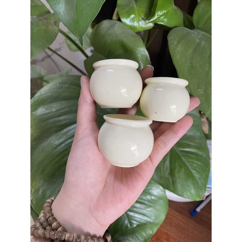 Cóng chim chào mào, một màu, cóng bạch định