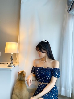 Set đầm hoa xinh xắn chiffon ( đầm xanh )