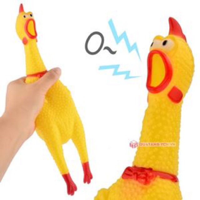 Gà shrilling chicken cao 30 cm