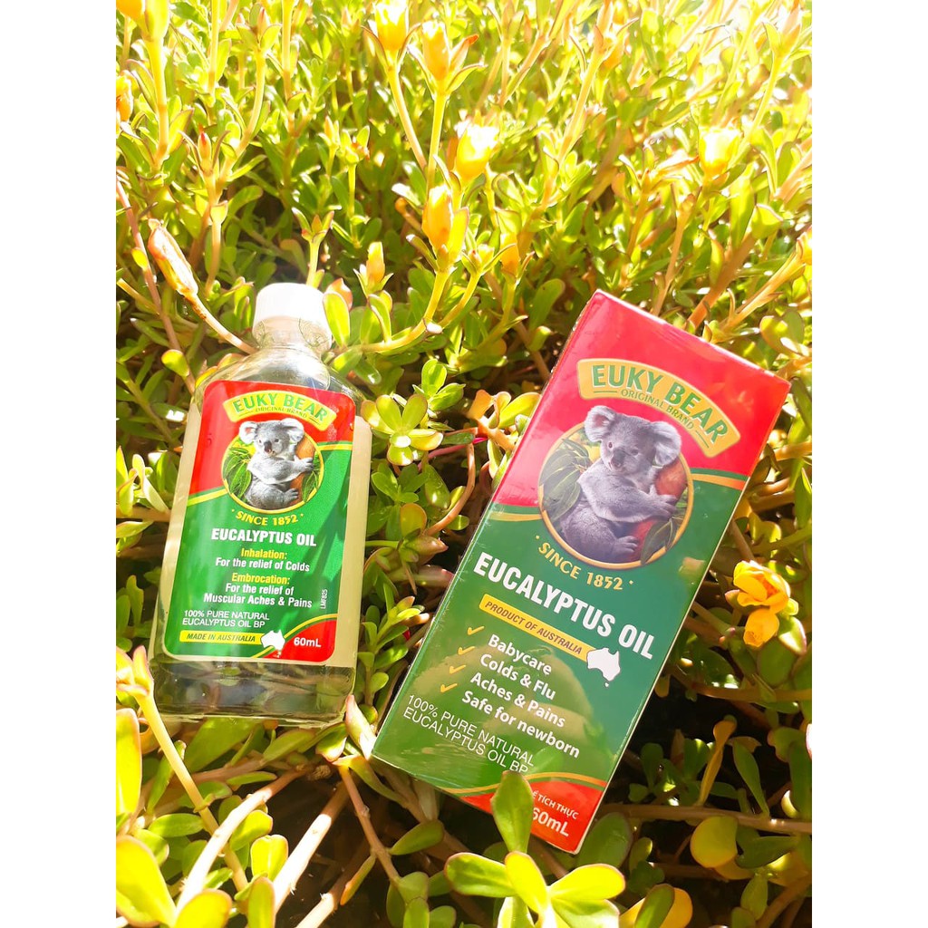Dầu khuynh diệp Úc Euky Bear 60ml