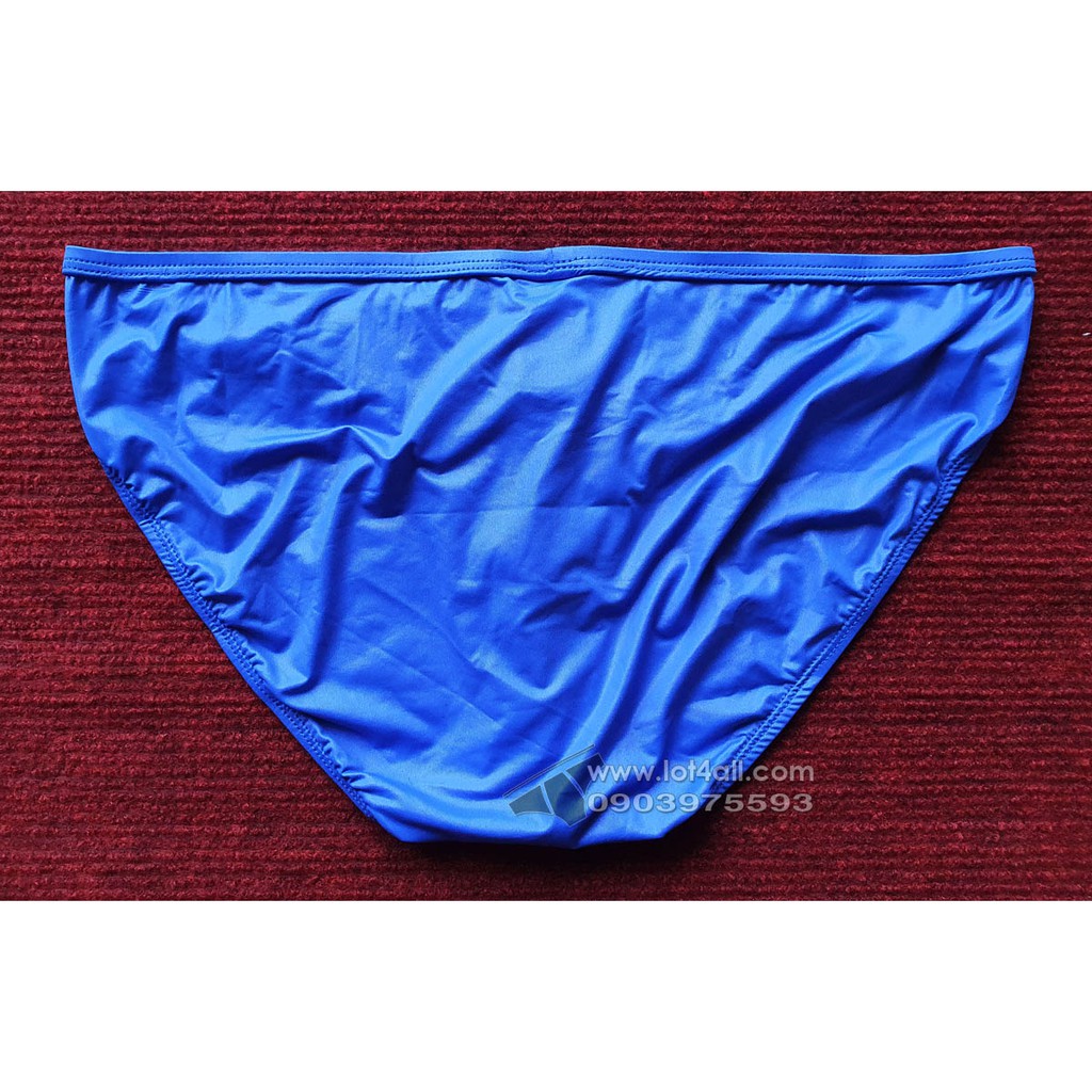 [CHÍNH HÃNG] Quần lót nam Gregg Homme Booster Brief Royal Blue