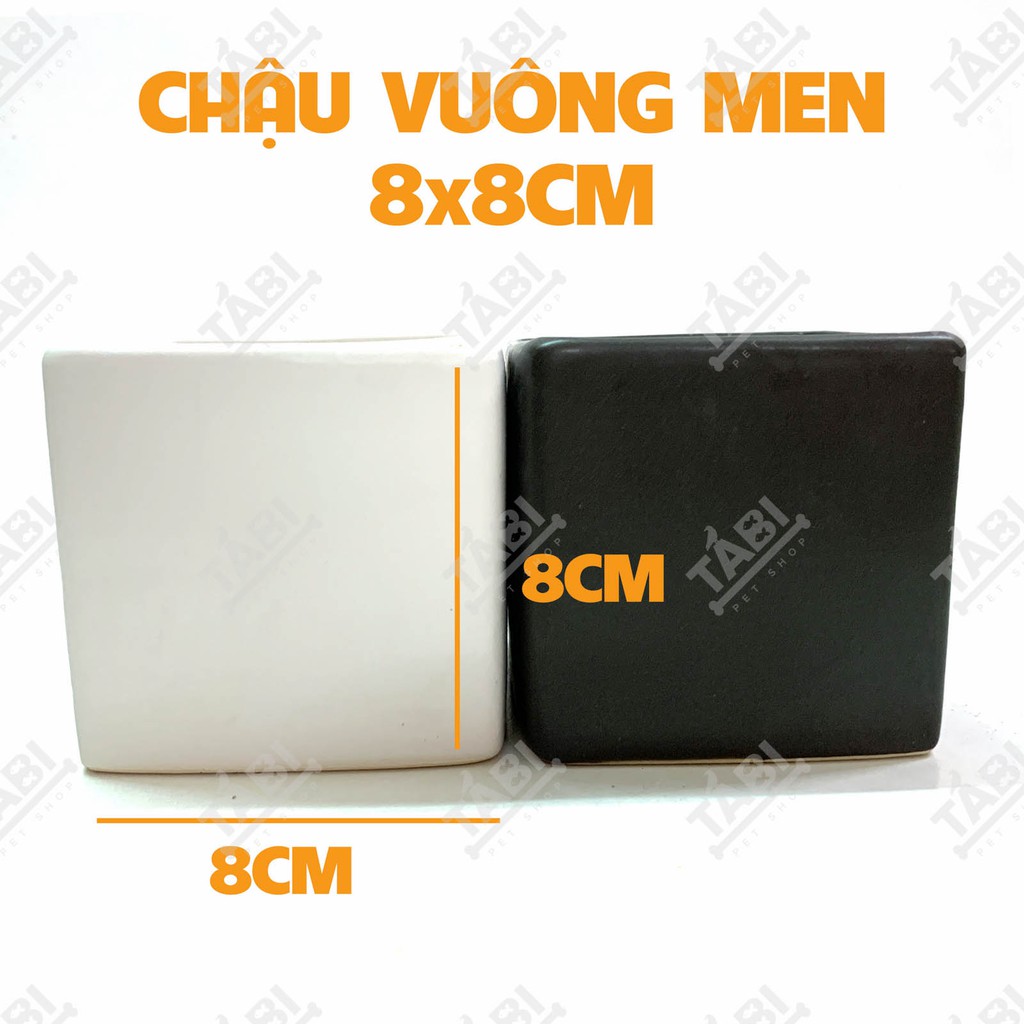 Chậu Cây Tráng Men Vuông Nhỏ 8x8CM - Chậu Cây Trồng Cây Cảnh, Sen Đá.