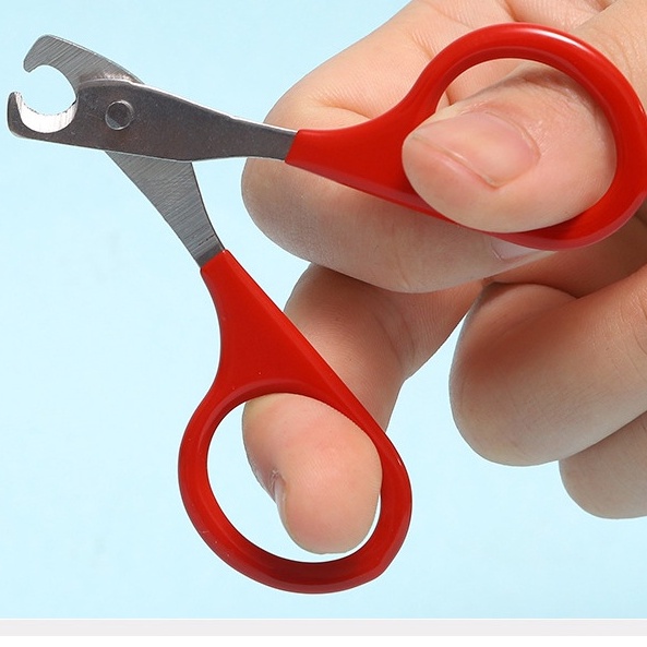 Cắt móng thú nuôi nhỏ kéo cắt kiềm cắt móng chân tay chó mèo, đồ dùng cho thú cưng Con Mèo Xiêm