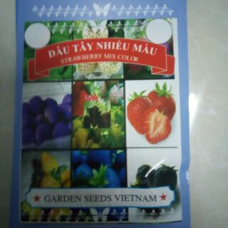 Hạt giống dâu tây mix Úc