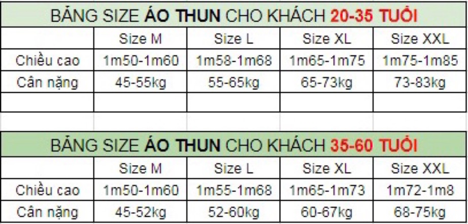 ÁO THUN NAM CÓ CỔ HOẠ TIẾT BI FORM CHUẨN AN388