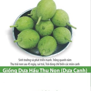 Hạt Giống Dưa Hấu Nụ, Dưa Canh 3gr