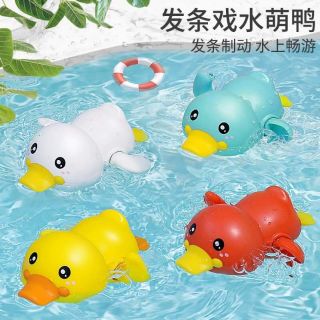 Vịt con vặn cót bơi
