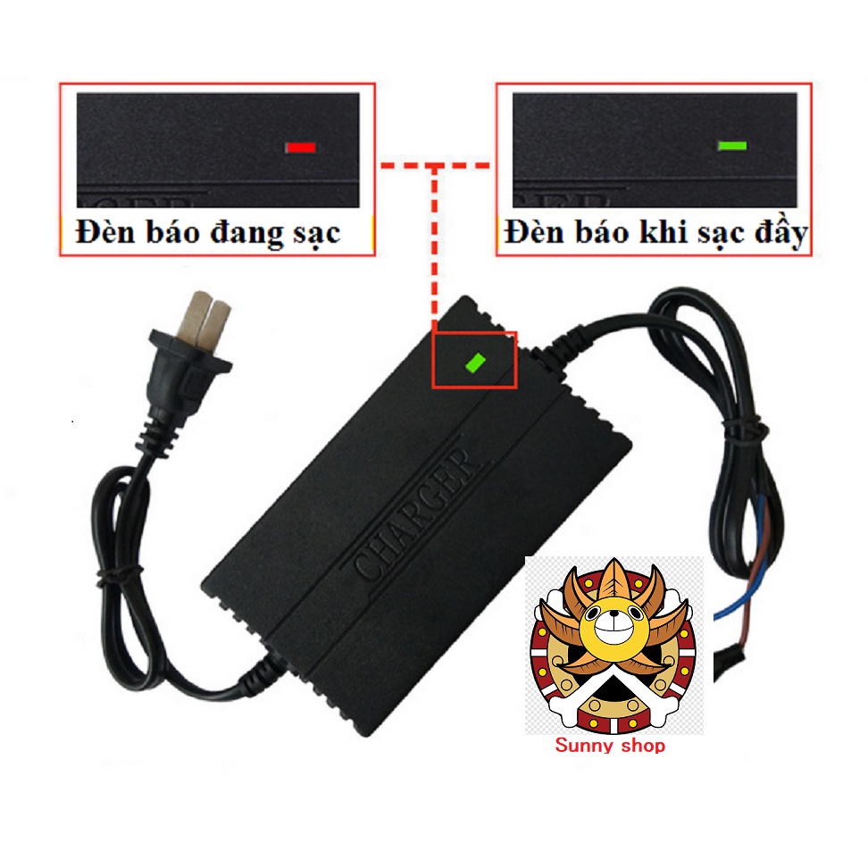 Sạc bình acquy 12V 2A 25W tự động ngắt kẹp cá sấu