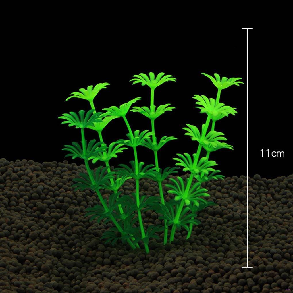 Cỏ nước nhân tạo chất liệu nhựa trang trí bể cá