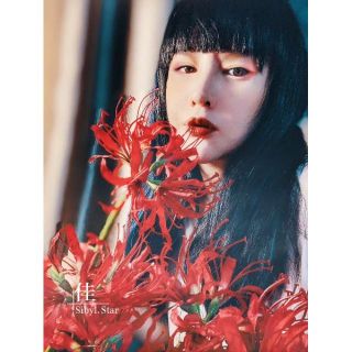 Hoa lụa - Bỉ ngạn hoa (ảnh thật)