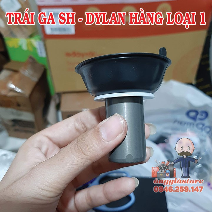 TRÁI GA DÙ SH - DYLAN HÀNG XỊN GIÁ TỐT PT506