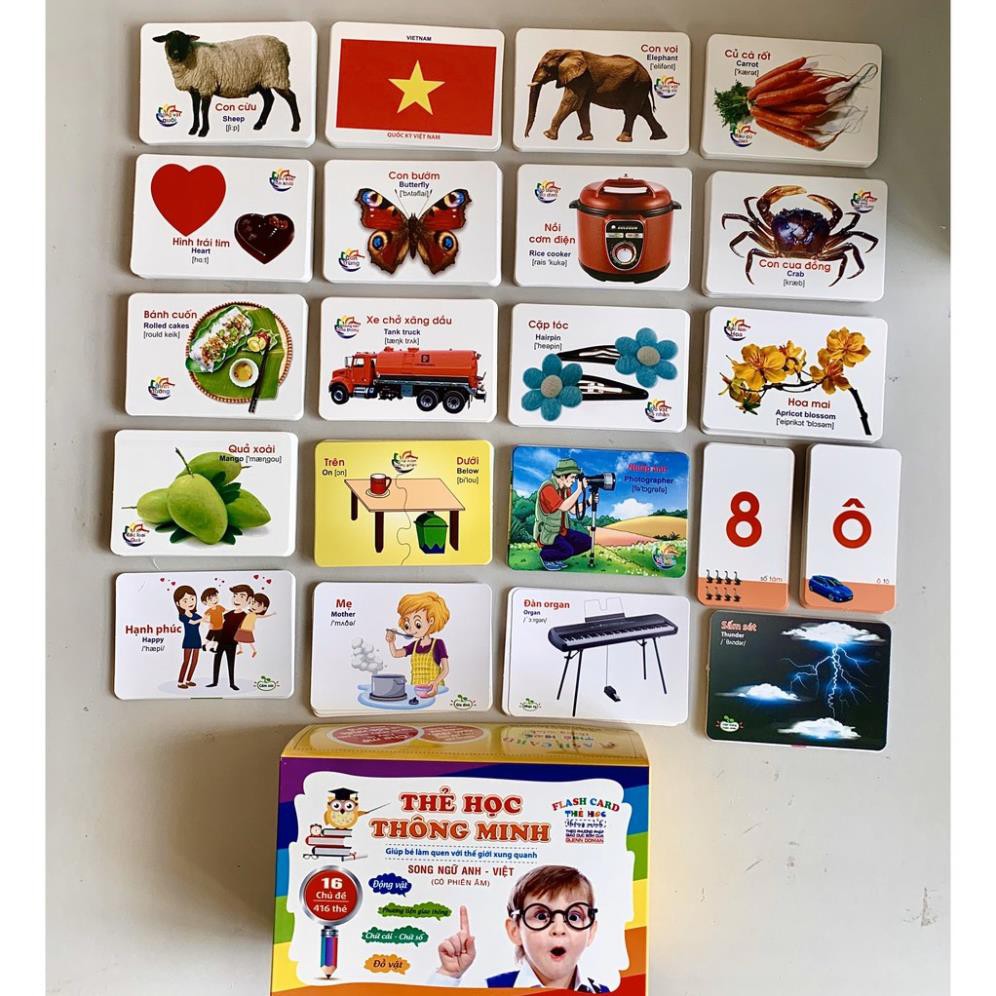 Bộ Thẻ Học Thông Minh cho bé 16/18 Chủ Đề thẻ học Glenn Doman loại to song ngữ Flashcard tiếng Anh (Hibaby+)