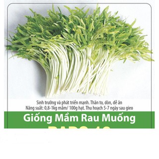 Hạt Giống Mầm Rau Muống Dễ Trồng 100gr