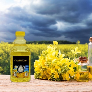 Dầu hạt cải canola oil úc date 2023