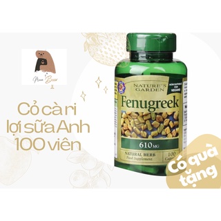 Fenugreek lợi sữa cỏ cà ri 610mg của Natures Garden