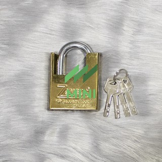 Ổ khóa chống cắt ZSolex