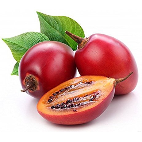 Gói 10 hạt giống Cà Chua Thân Gỗ Tamarillo Đỏ