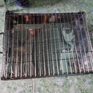 Lò nướng inox R37 D22 .