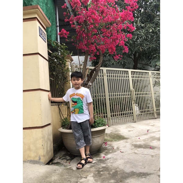 Áo thun bé trai xuất xịn 6M - 8 year ib chọn màu