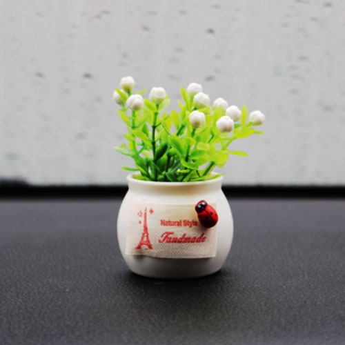 Chậu bông mini chậu hoa nhỏ xinh đặt trên taplo ô tô