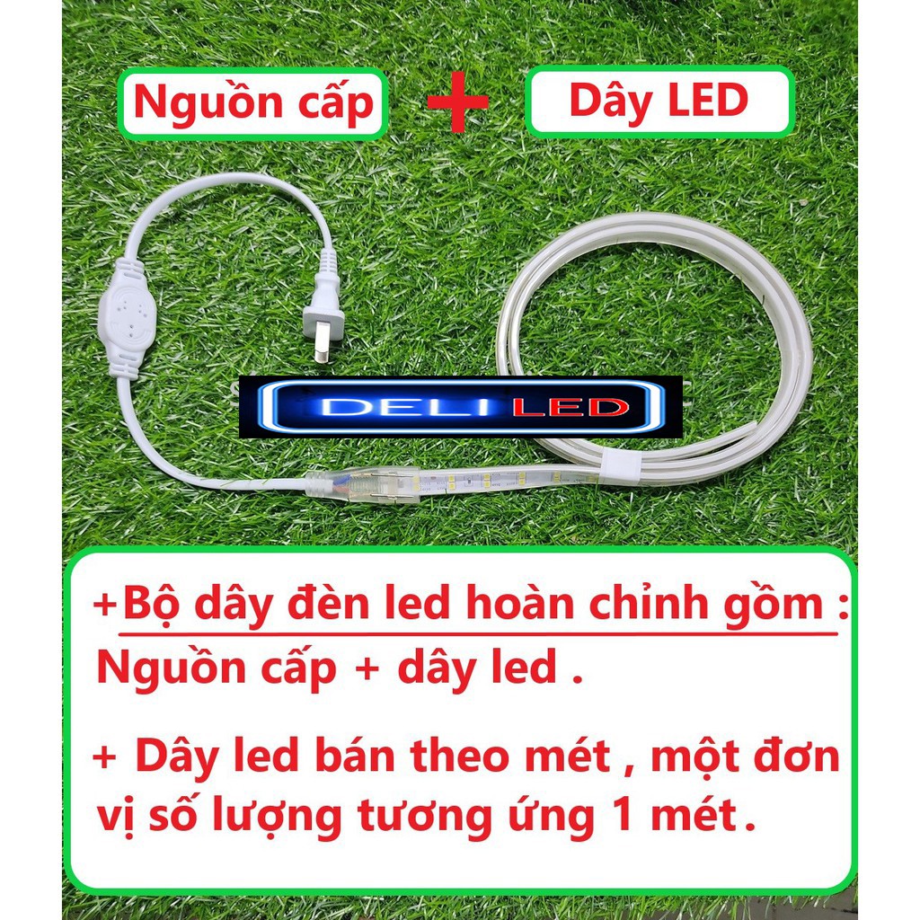 [CUỐN CÂY] Đèn Led Dây 2 Hàng Trang Trí, Cuốn Cây, Hắt Trần Siêu Đẹp, Siêu Bền - Chống Nước ( Bán Theo Mét)