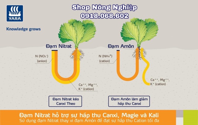 Phân bón hoà tan Yara Liva Calcinit 100gr,500gr