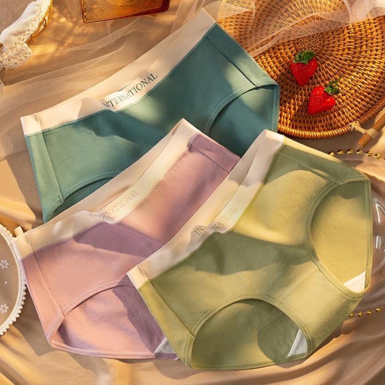 Quần Lót Nữ Cotton Cạp Su Chữ Kháng Khuẩn Màu Sắc Trẻ Trung Cao Cấp - 8858