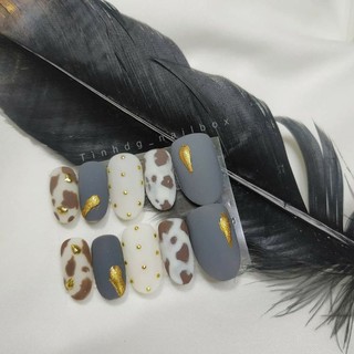 nailbox móng úp thiết kế
