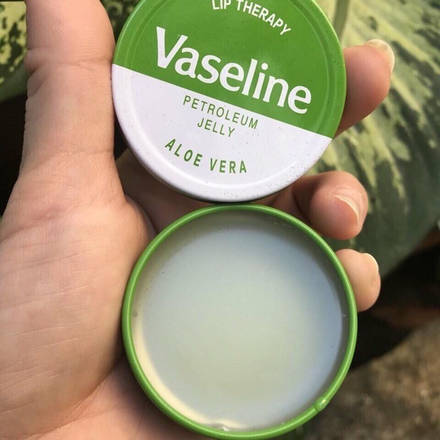 SIÊU PHẨM DƯỠNG MÔIVASELINE ALOE VERA  20g