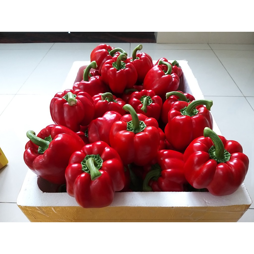 Phân bón Rau Hoa NPK 19-19-19+3CaO+TE -Israel