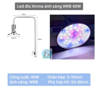 Led dĩa Xinma ánh sáng trắng | WRB (20W|40W)