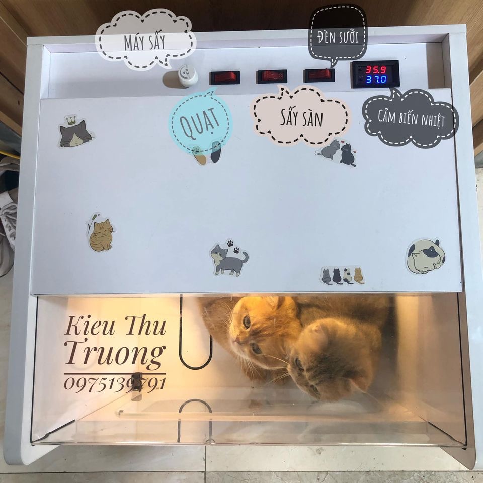Lồng sấy mèo tự động ,Máy sấy mèo, Lồng sấy chó