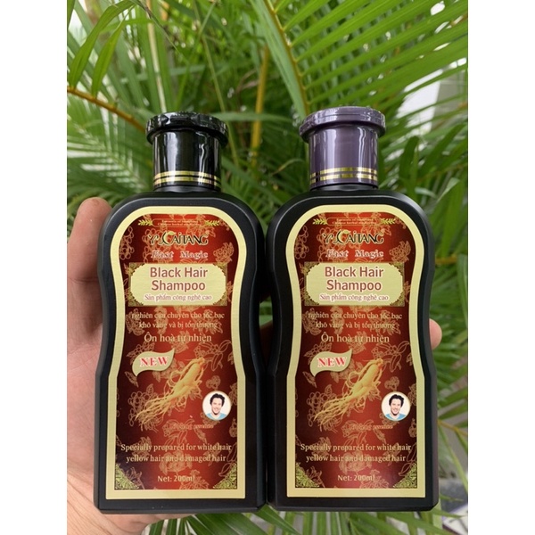 [Hàng Cao Cấp Ko Khô Tóc] Combo 2 Chai Dầu Gội Đen Tóc Ông Già YuCaiTang, Dầu Gội Phủ Bạc YuCaiTang Hàng Xịn