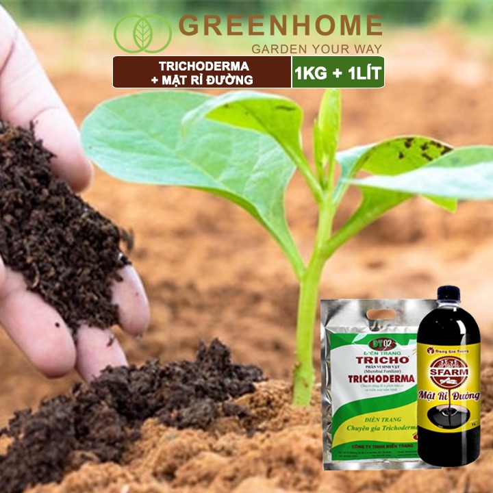Combo Nấm đối kháng Trichoderma 1kg, mật rỉ đường Sfarm 1kg, ủ phân bón, ủ đậu nành, ủ rác thải nhà bếp | Greenhome