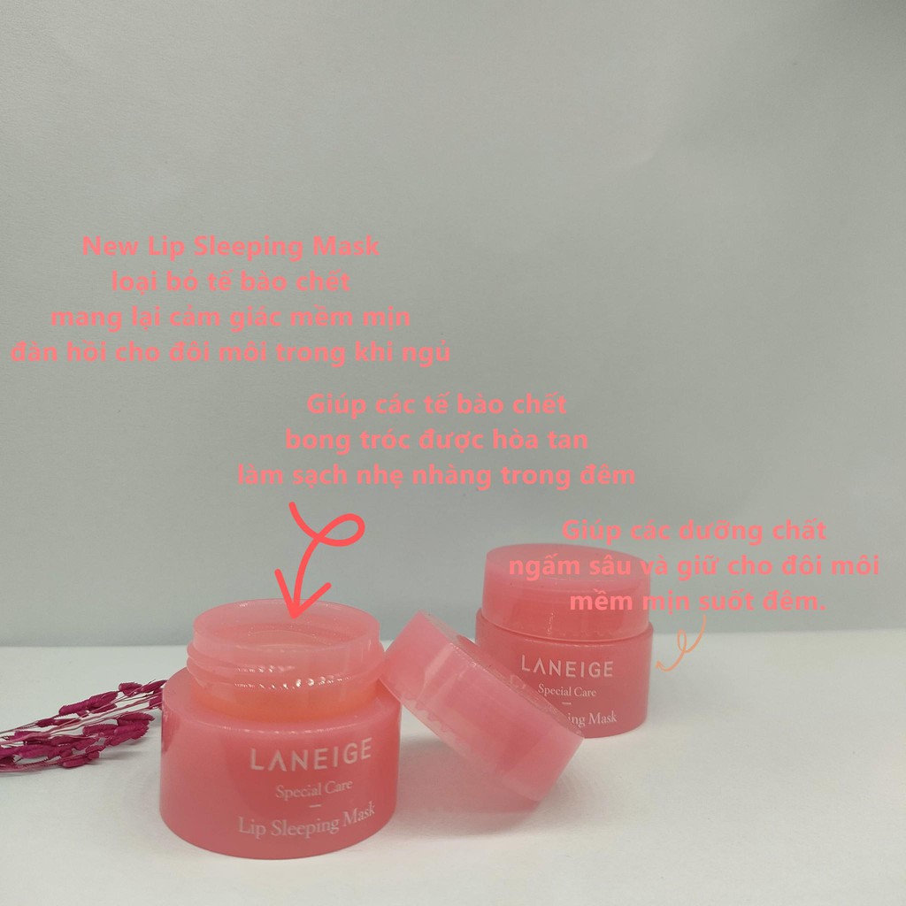 Mặt nạ ủ môi laneige minisize 3g | BigBuy360 - bigbuy360.vn