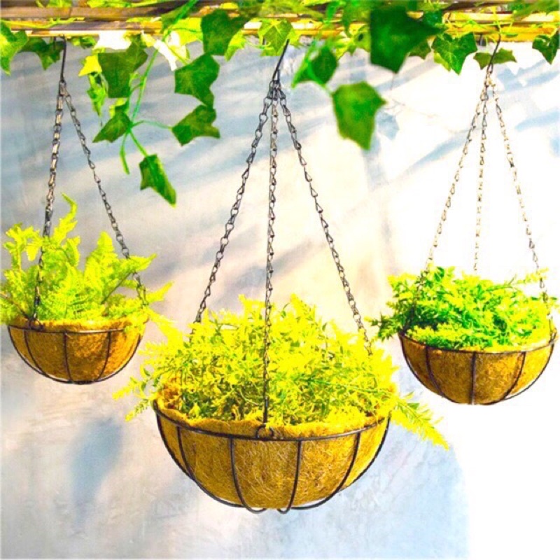 Chậu hoa treo xơ dừa hình tròn đk 25cm khung và dây xích treo bằng sắt hàng cao cấp