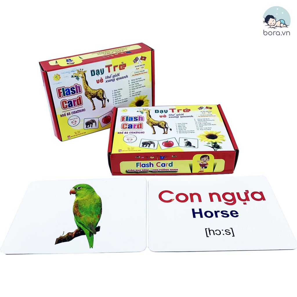 Bộ thẻ học song ngữ Glenn Doman dạy bé nhận biết về thế giới xung quanh, kích thước 15 x 21 cm