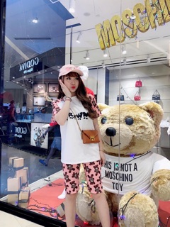 Set Gấu Bear