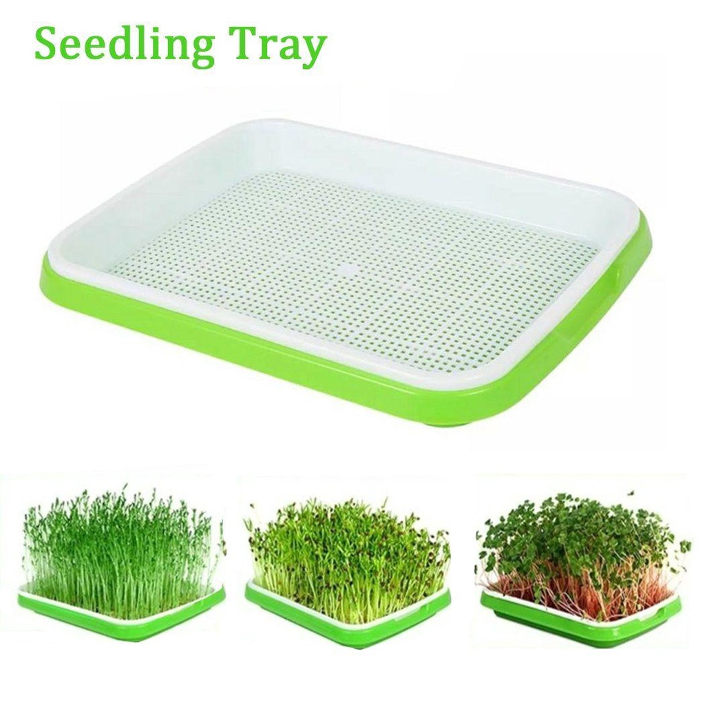FAY Khay Gieo Hạt Trồng Cây Thủy Canh Bằng Giấy Tiện Dụng Cho Gia Đình