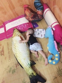 Gối cá chép bông