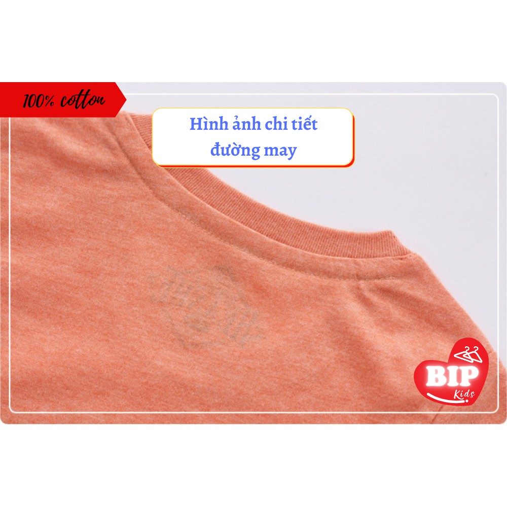 Áo Thun Trẻ Em Cho Bé Trai Cao Cấp Xuất Khẩu 11242