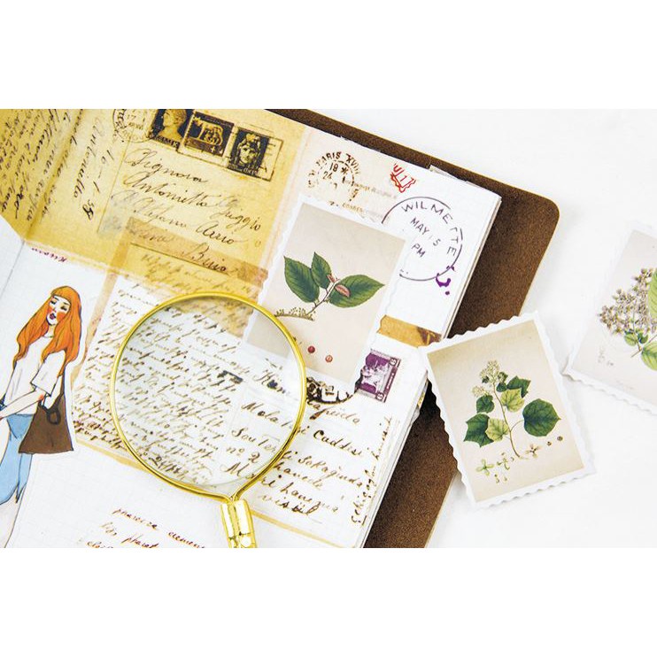 Bộ 46 Sticker Hàn Quốc hình Cây Cỏ Con Dấu dán trang trí E26