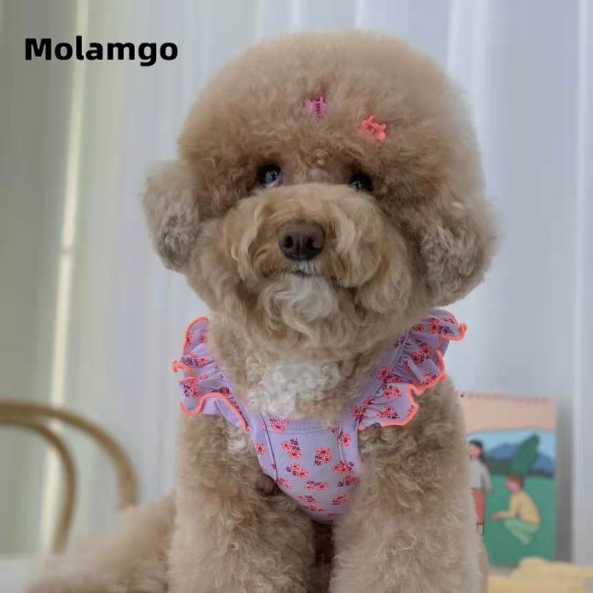 Đầm Họa Tiết Hoa Xinh Xắn Thời Trang Mùa Hè Cho Thú Cưng