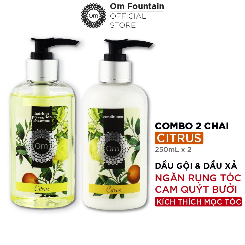 Combo Dầu gội giảm rụng tóc, dưỡng tóc, kích thích mọc tóc Tinh dầu bưởi, cam, quýt (Citrus) Om Fountain 250ml | BigBuy360 - bigbuy360.vn