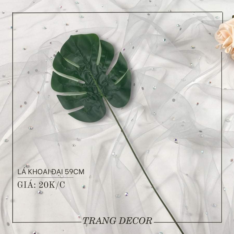 Lá trang trí, lá decor, lá chụp ảnh, lá bó hoa giá chỉ 5000-20000k