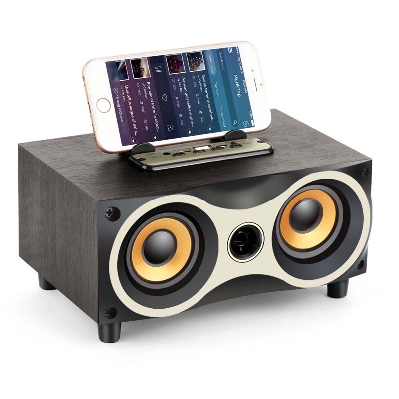 Loa Bluetooth âm thanh nổi FM không dây bằng gỗ di động - Màu đen