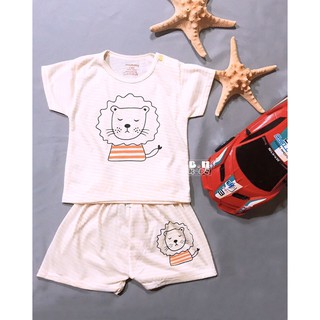 combo 5 bộ cotong hè cho bé