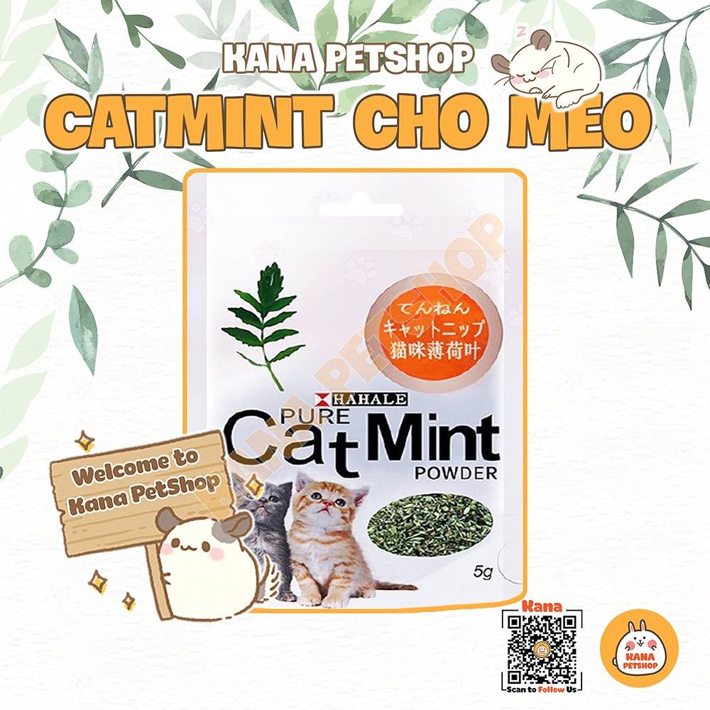 Cỏ Catmint Cỏ Bạc Hà Cho Mèo FREESHIP Cỏ Catnip 5G Thư Giãn Cho Mèo
