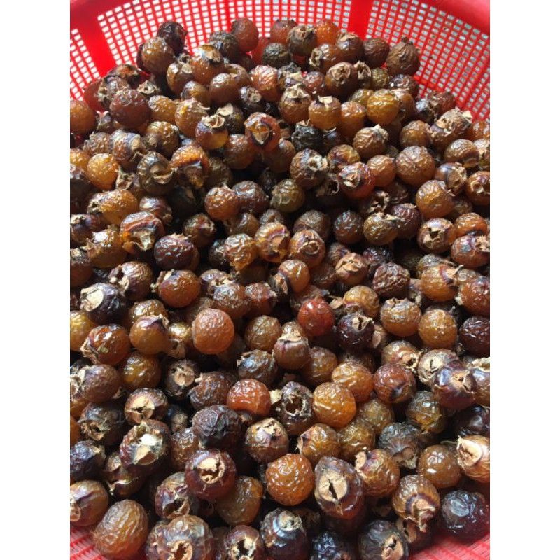 Quả bồ hòn khô 1kg loại 1